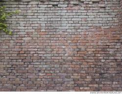 Photo Textures of Wall Bricks Old